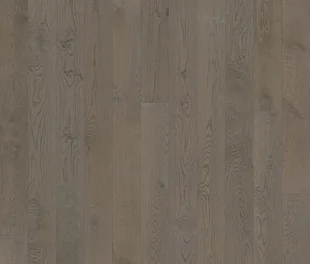 Карбон CARBON